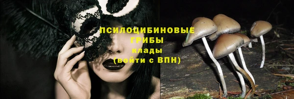 каннабис Белокуриха
