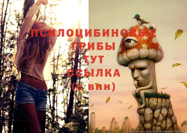 каннабис Белокуриха
