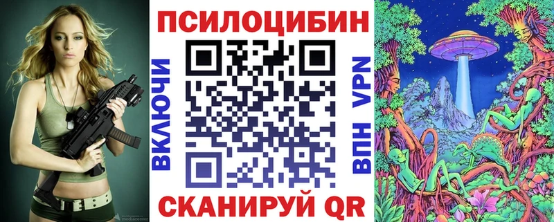Псилоцибиновые грибы Psilocybe  закладка  Верещагино 